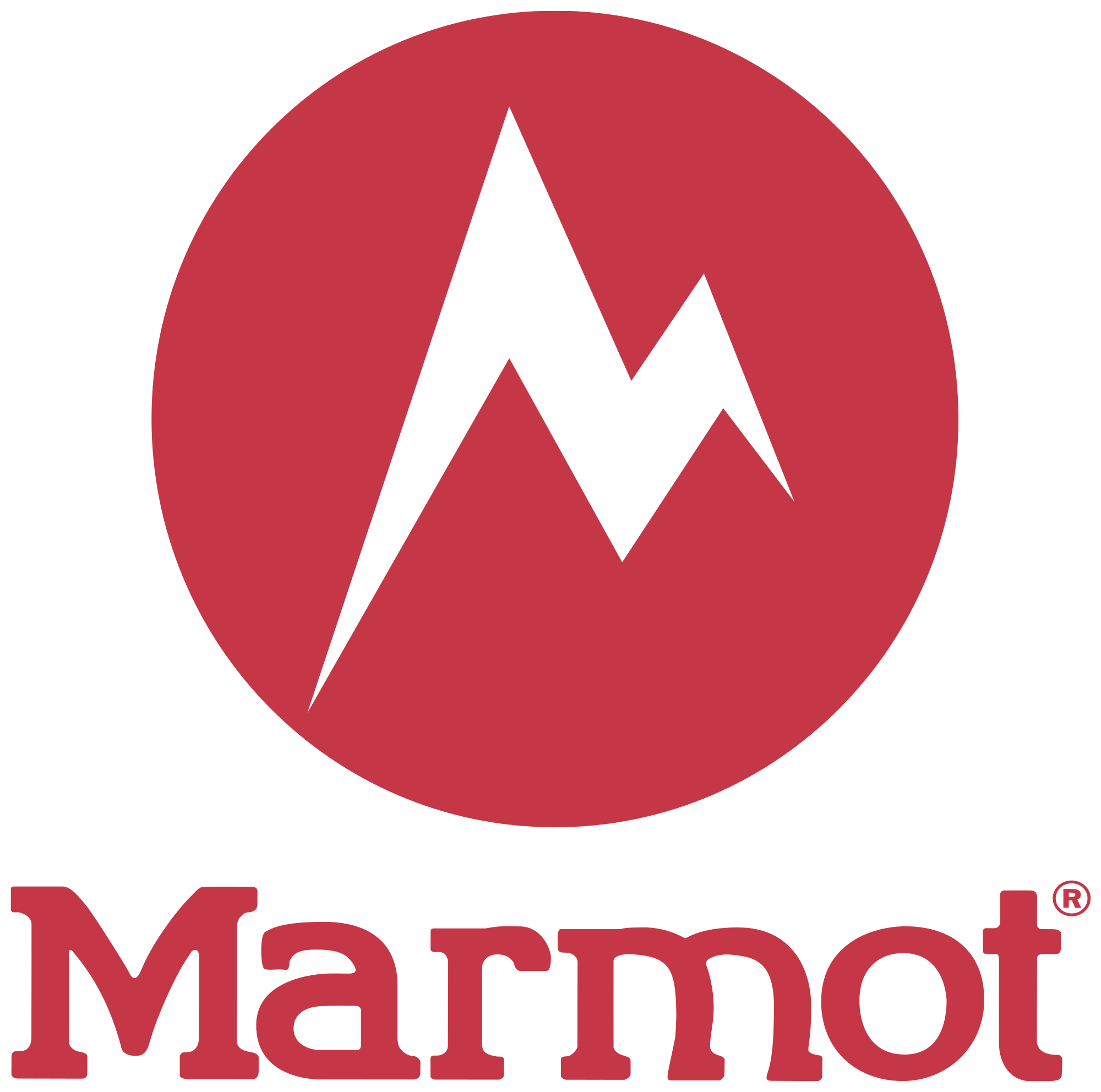 Marmot